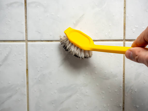 Best Bathroom Mold Remediation in Eagle Lake, MN