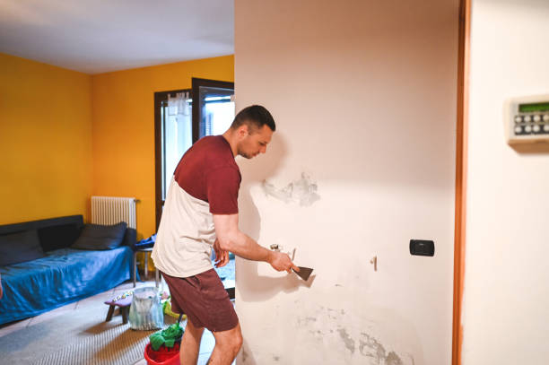 Best Health and Safety Mold Remediation in Eagle Lake, MN